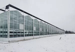 玻璃温室建设 (6)