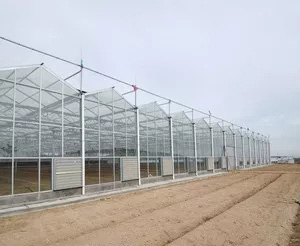 玻璃温室建设 (7)