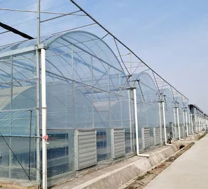 连栋温室建设 (2)
