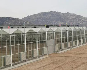 玻璃温室建设 (8)