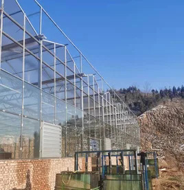 玻璃温室建设 (2)