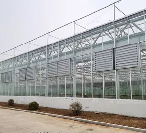 玻璃温室建设 (3)