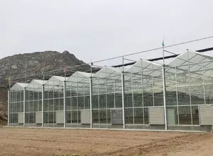 玻璃温室建设 (5)