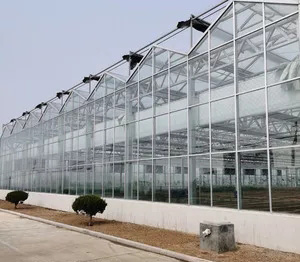玻璃温室建设 (9)