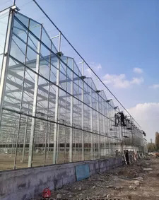 玻璃温室建设 (4)